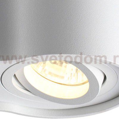 Потолочный накладной светильник Odeon light 3564/2C PILLARON