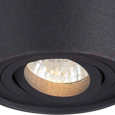 Потолочный накладной светильник Odeon light 3565/1C PILLARON