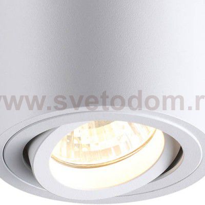 Потолочный накладной светильник Odeon light 3567/1C TUBORINO