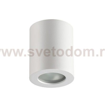 Потолочный накладной светильник Odeon light 3571/1C AQUANA