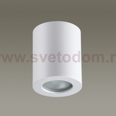 Потолочный накладной светильник Odeon light 3571/1C AQUANA