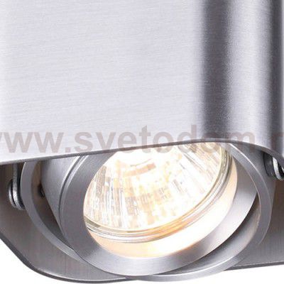 Потолочный накладной светильник Odeon light 3577/1C MONTALA