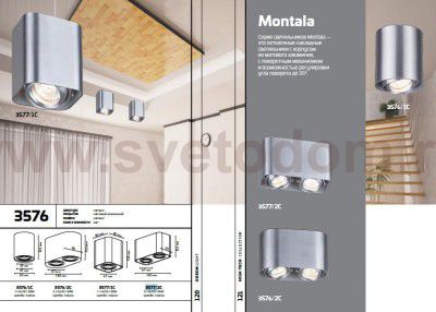 Потолочный накладной светильник Odeon light 3577/1C MONTALA