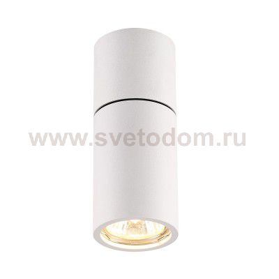 Потолочный накладной светильник Odeon light 3582/1C DUETTA