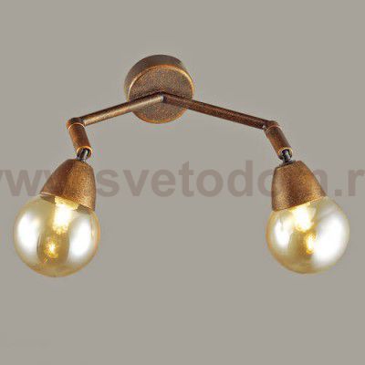 Светильник настенный бра Lumion 3596/2W ZIANOX