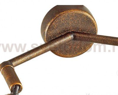 Светильник настенный бра Lumion 3596/2W ZIANOX