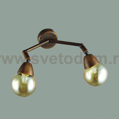 Светильник настенный бра Lumion 3596/2W ZIANOX