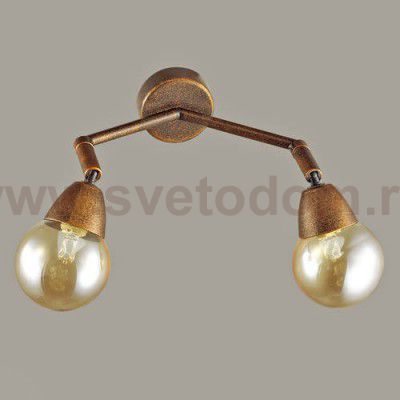 Светильник настенный бра Lumion 3596/2W ZIANOX