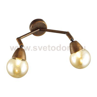 Светильник настенный бра Lumion 3596/2W ZIANOX