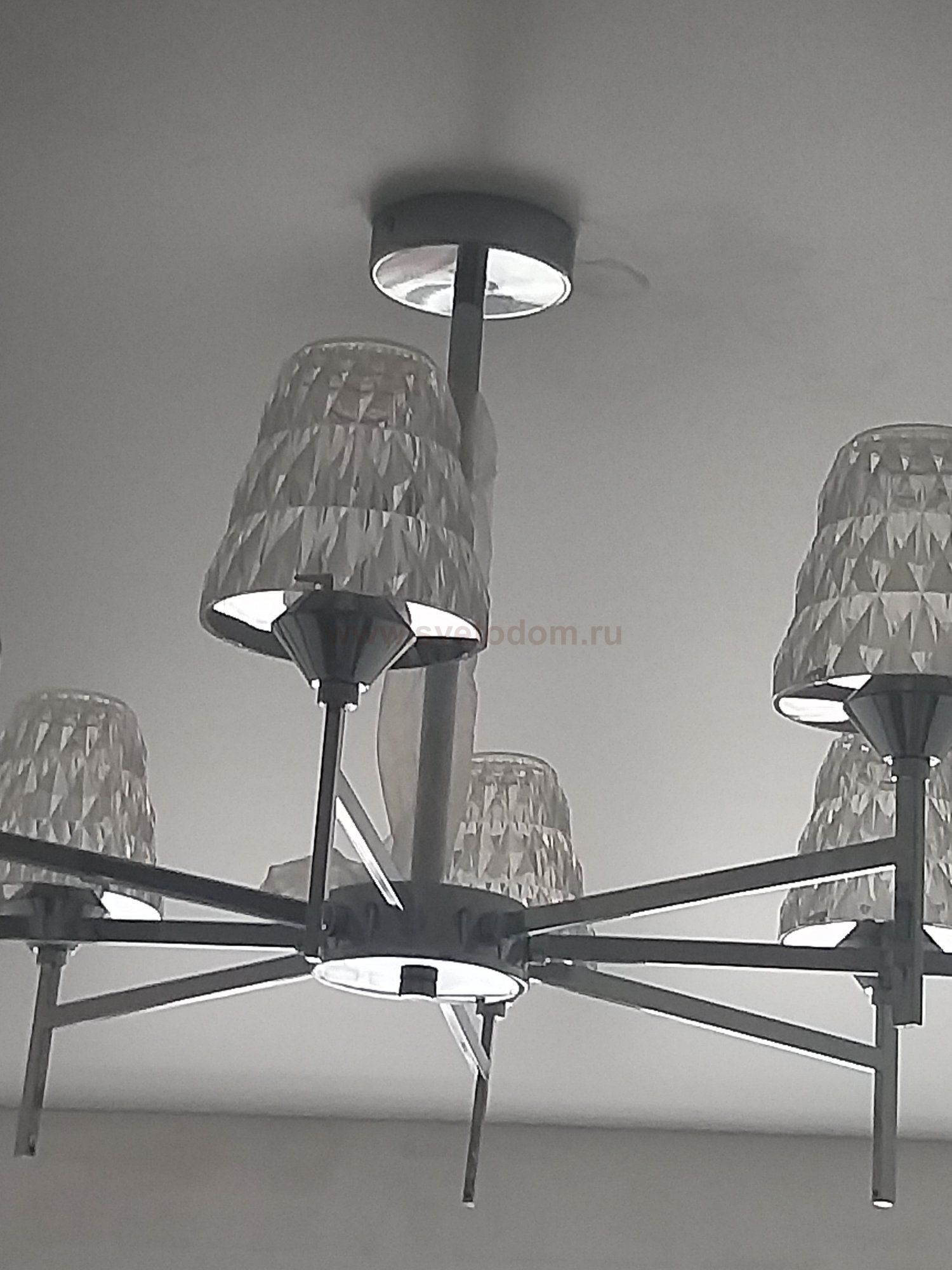 Люстра потолочная Lumion 3598/30CL GERANA