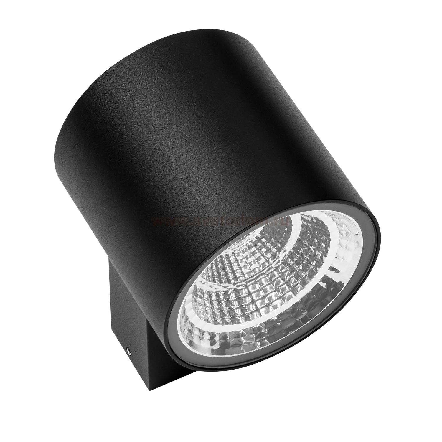 Светильник светодиодный уличный настенный Lightstar 361672 Paro