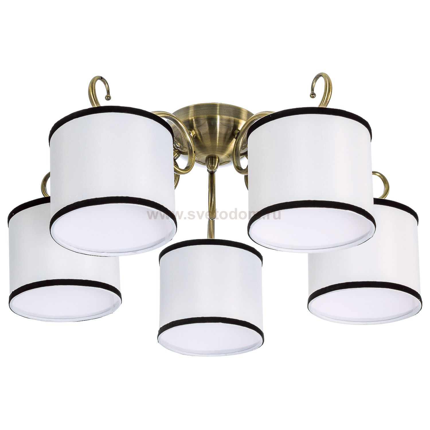 Потолочный светильник Экономсвет 3633/5A AB