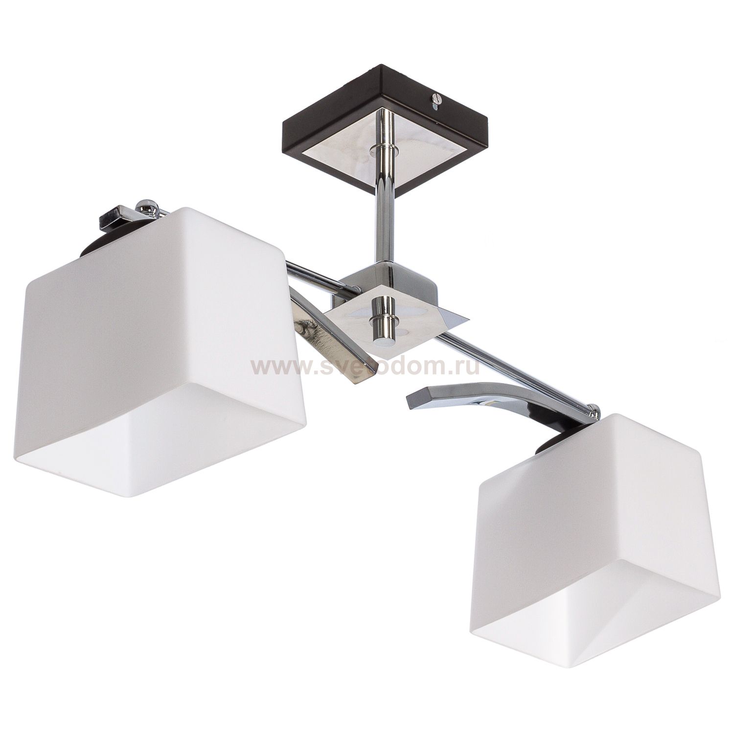 Потолочный светильник Экономсвет 3652/2BK+CR WT