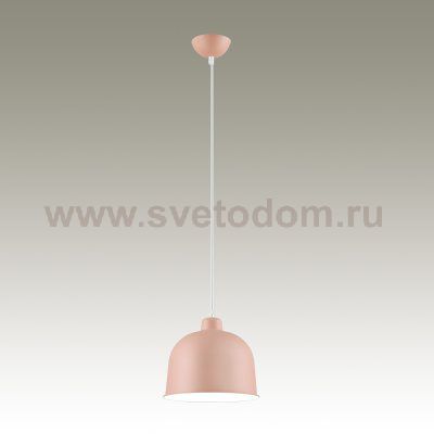Подвесной светильник Lumion 3655/1 RORY