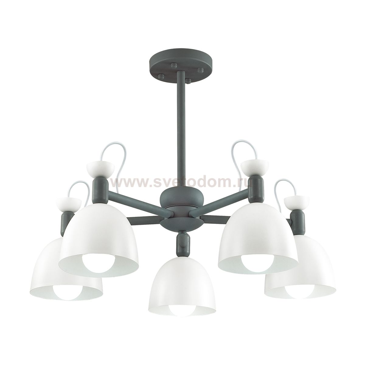 Люстра на штанге Lumion 3687/5C FIONA