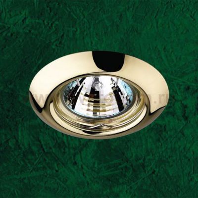 Точечный встраиваемый светильник Novotech 369113 TOR