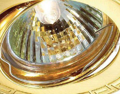 Точечный встраиваемый светильник Novotech 369619 COIL