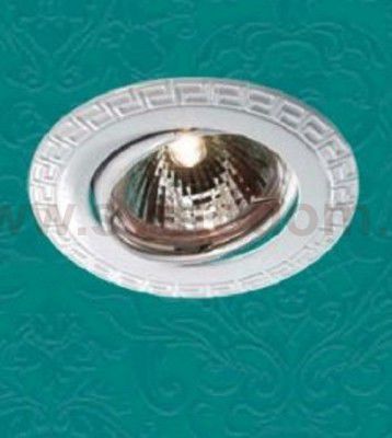 Встраиваемый поворотный светильник Novotech 369620 COIL