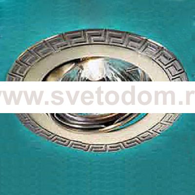 Точечный встраиваемый светильник Novotech 369624 DINO