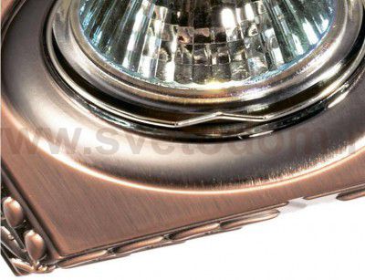 Точечный встраиваемый светильник Novotech 369662 BRANCH