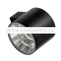 Светильник светодиодный уличный настенный Lightstar 370674 Paro