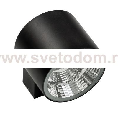 Светильник светодиодный уличный настенный Lightstar 370674 Paro