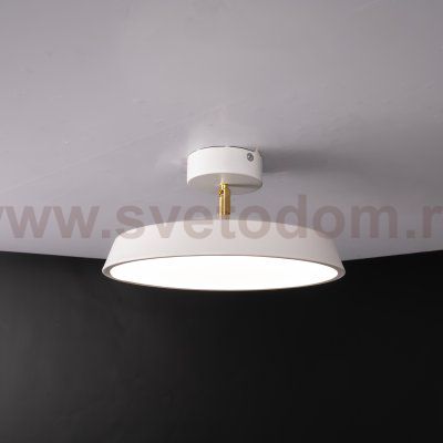 Потолочный светильник BIRK D30 White