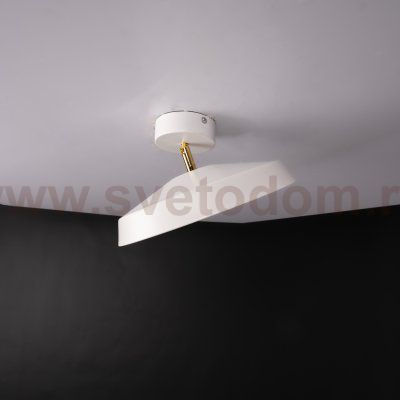 Потолочный светильник BIRK D30 White