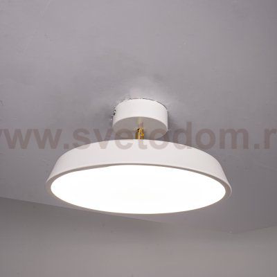 Потолочный светильник BIRK D30 White