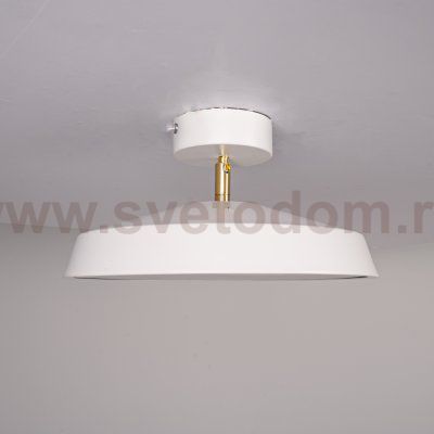 Потолочный светильник BIRK D30 White