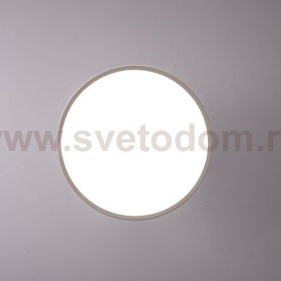 Потолочный светильник BIRK D30 White