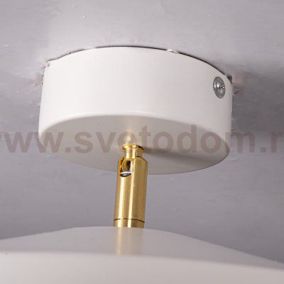 Потолочный светильник BIRK D30 White