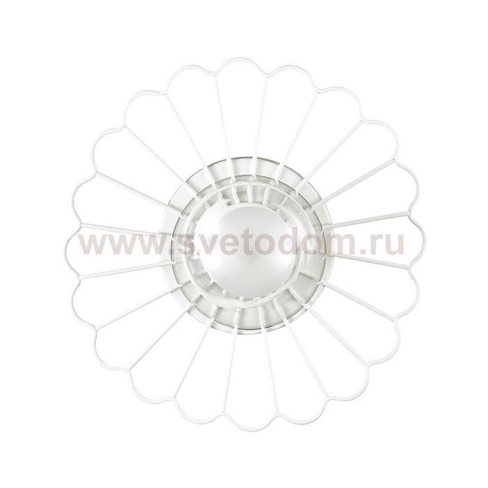 Настенно-потолочный светильник Lumion 3780/1W MIMI