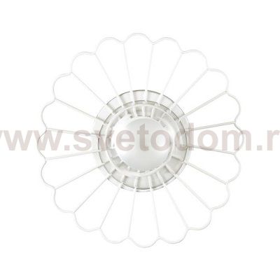 Настенно-потолочный светильник Lumion 3780/1W MIMI