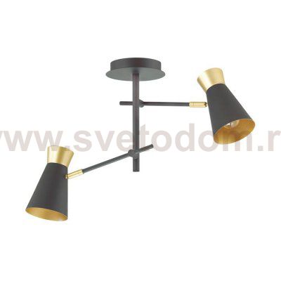 Люстра потолочная Lumion 3790/2C LIAM