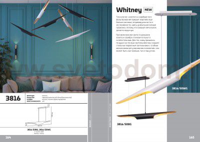 Подвесной светильник Odeon light 3816/50WG WHITNEY