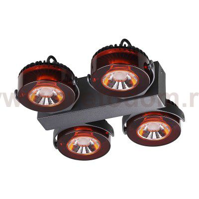 Настенный светильник Odeon light 3818/40CL VIVACE