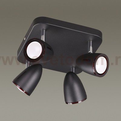 Светильник потолочный Odeon light 3824/4C REANNA