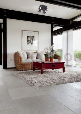 Светильник потолочный Odeon light 3824/4C REANNA