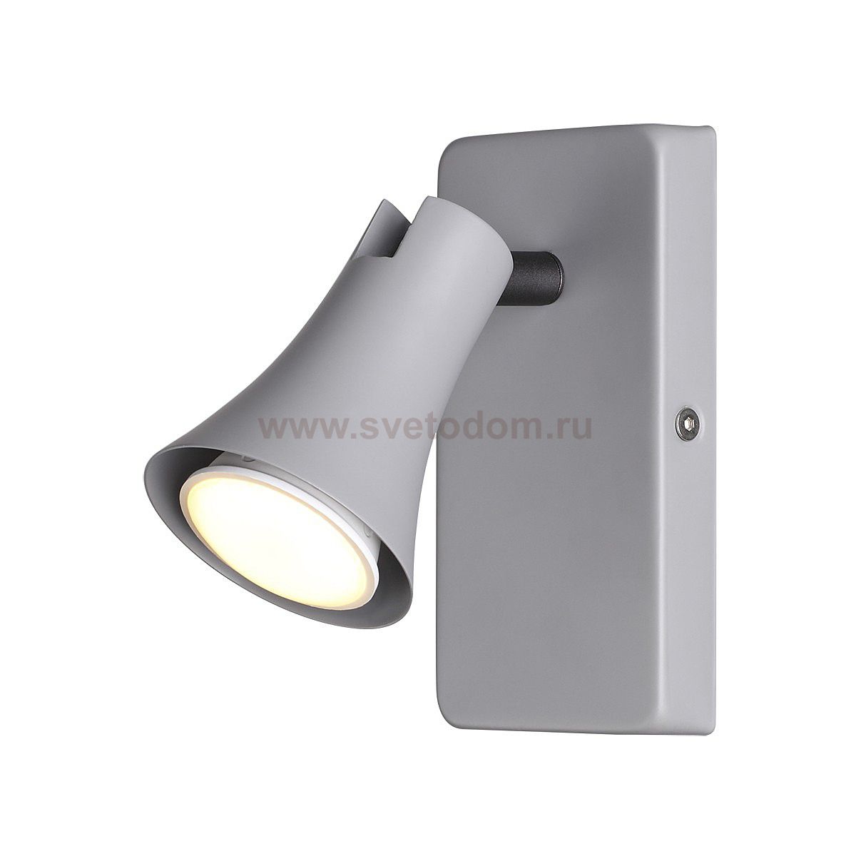 Подсветка Odeon light 3825/1W REANNA