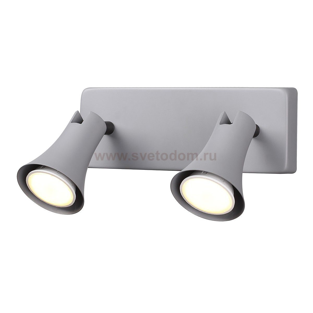 Подсветка Odeon light 3825/2W REANNA