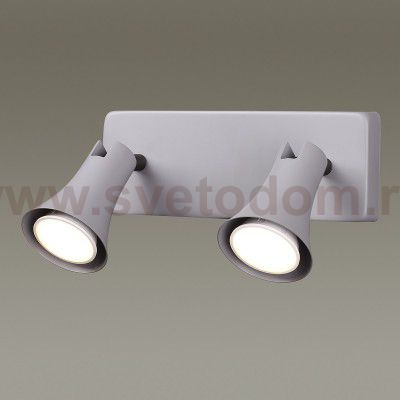 Подсветка Odeon light 3825/2W REANNA