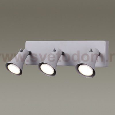 Подсветка Odeon light 3825/3W REANNA