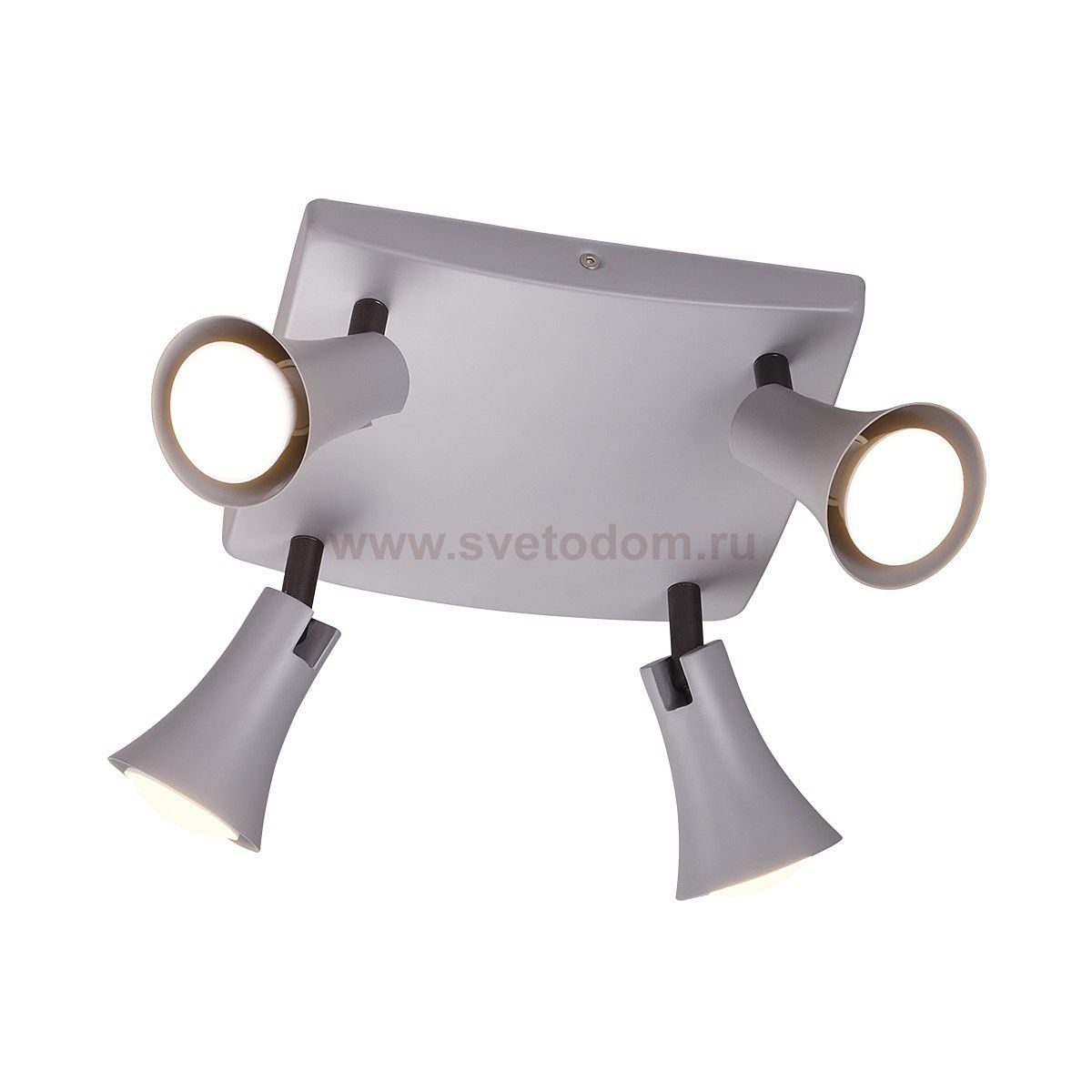 Светильник потолочный Odeon light 3825/4C REANNA