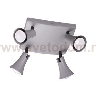 Светильник потолочный Odeon light 3825/4C REANNA