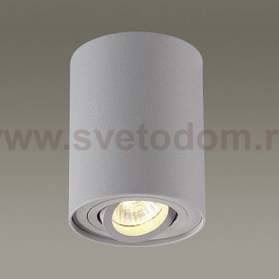 Потолочный накладной светильник Odeon light 3831/1C PILLARON