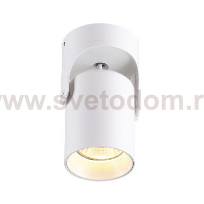 Потолочный накладной светильник Odeon light 3854/1C CORSUS