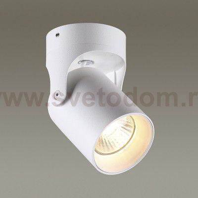 Потолочный накладной светильник Odeon light 3854/1C CORSUS