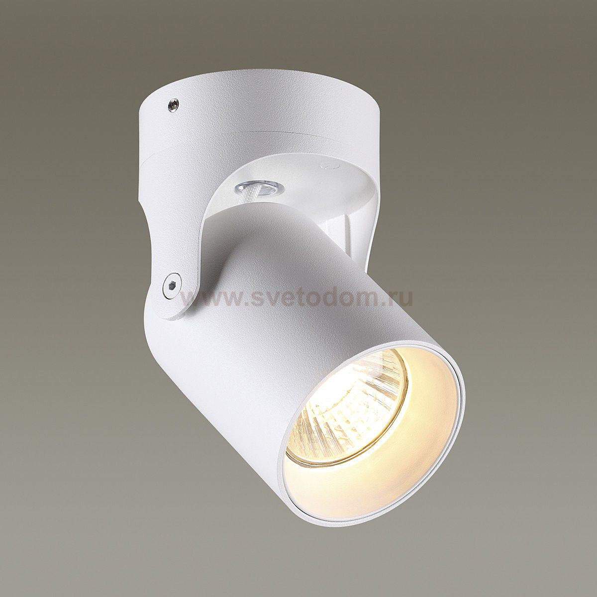 Потолочный накладной светильник Odeon light 3854/1C CORSUS