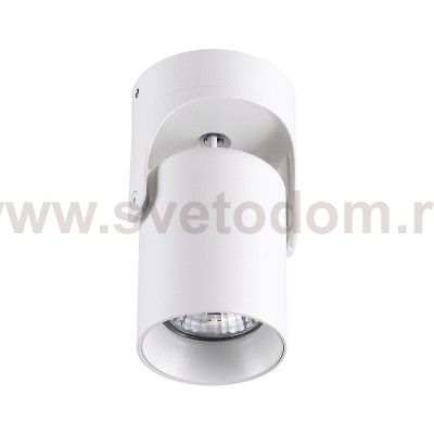 Потолочный накладной светильник Odeon light 3854/1C CORSUS